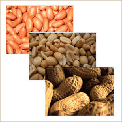 Raw Peanuts