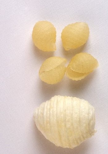 Shell Potato Snack Pellet