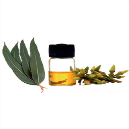 Eucalyptus Globulus Oil