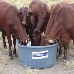 SHRI GOPAL Cattle Feed Supplements