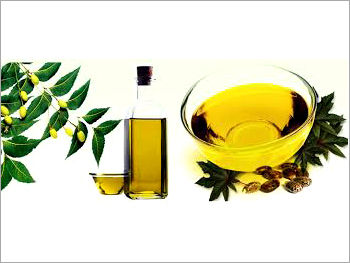 Neem Oil - Premium Quality Extract from Quality-Checked Neem Fruits & Seeds | Antibacterial, Antifungal, Purity, Non-Hazardous