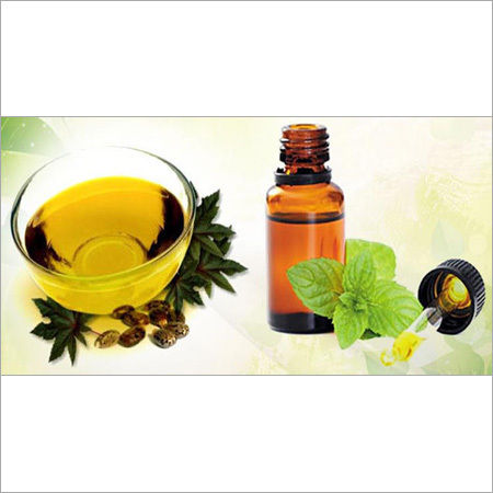 Cornmint Oil