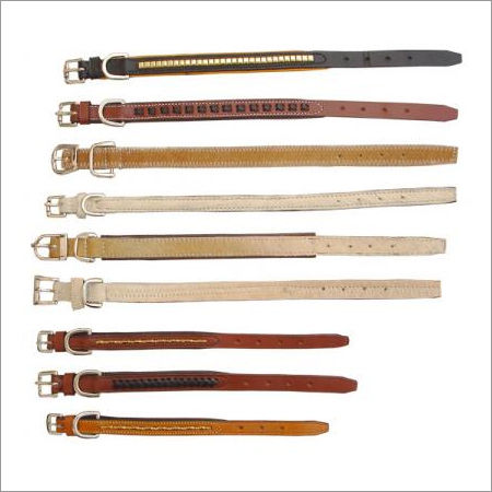 Dog Collars