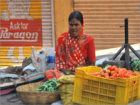 As Per Requirement Reusable Vegetable Crates