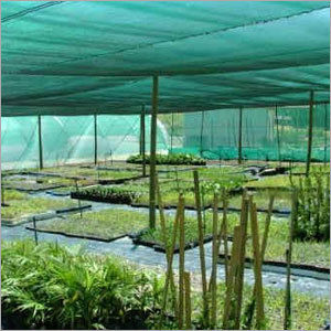 Polyhouse Cultivation