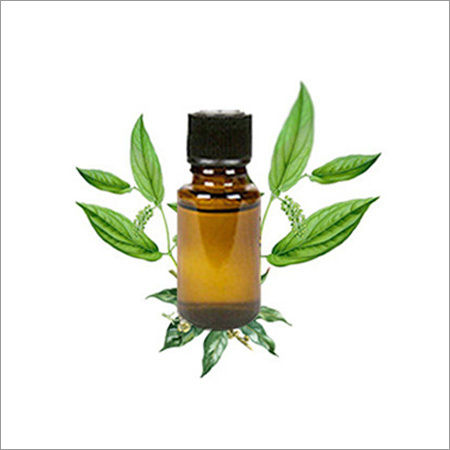 Camphor Oil