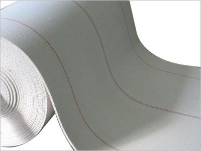 Cotton Biscuit Webbing Belt