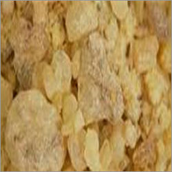 Gum Copal - Premium Quality Resin | High Purity for Varnishes, Adhesives, Paints, Perfumes