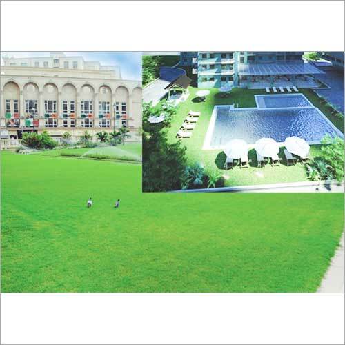 Commercial Landscaping Services By BAIJNATH LANDSCAPE