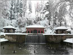 Available In Multicolour Gulmarg Tour Packages