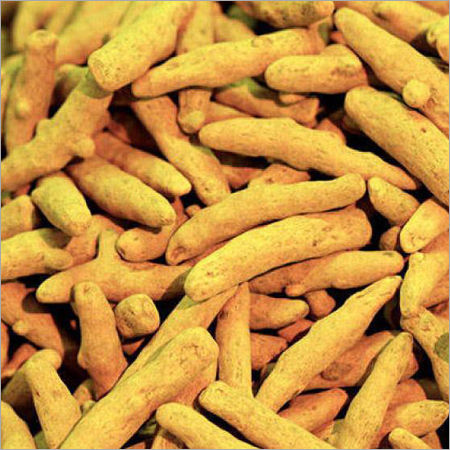 Dried Turmeric Finger