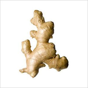 Dry Ginger