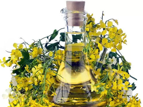 Organic Mustard Oil