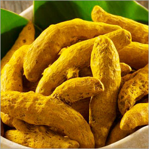 Turmeric Finger At Best Price In Jaipur Rajasthan Shri Raghuvansh