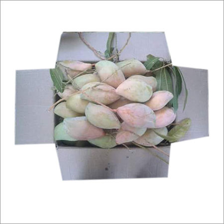 Amrutang Mango Grade: Metal