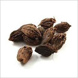 Black Cardamom