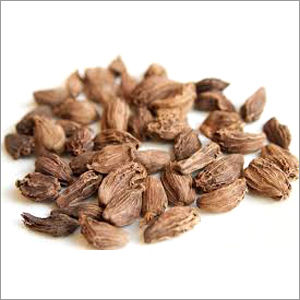 Black Cardamom