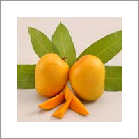 Fresh Mango - Ripe and Aromatic Flavor, Naturally Sweet and Balanced Acidity, Excellent Source of Vitamins