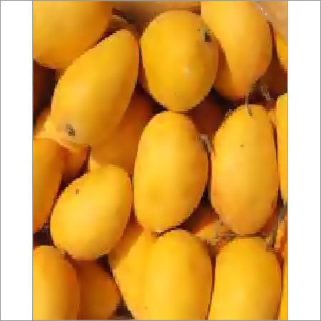 Fresh Mango