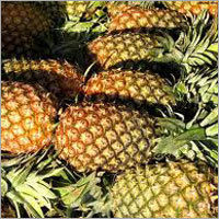 Fresh Pineapple Pulp