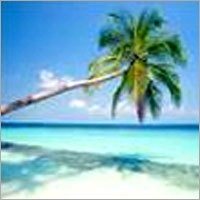 Goa Tour Packages By RELEVANT TRIP HOLIDAYS PVT. LTD.