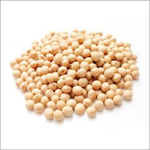 Soybeans Seed