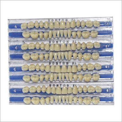 Temporary Artificial Teeth