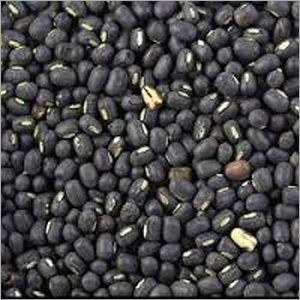 Black Urad Dal