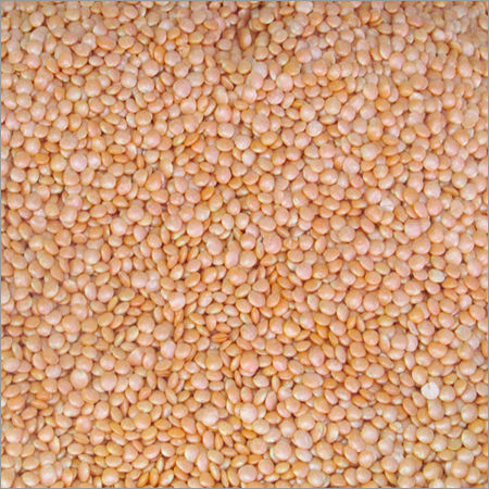 Masoor Dal