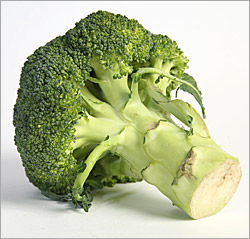 Fresh Broccoli