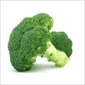 Fresh Broccoli