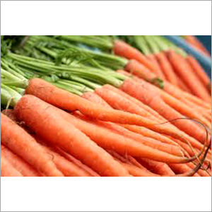 Fresh Carrot