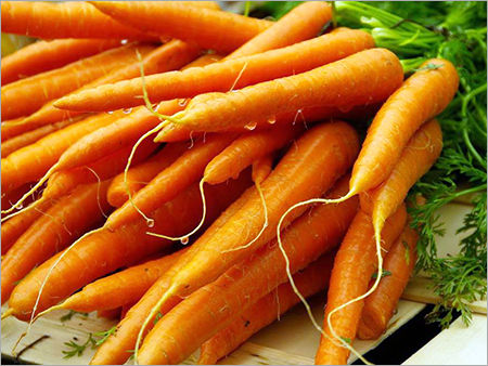 Fresh Carrot