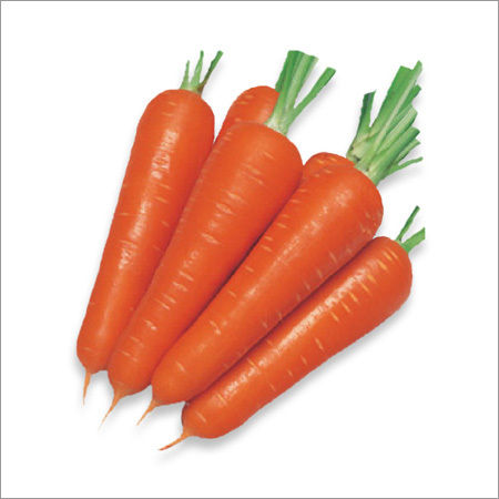 Fresh Carrots