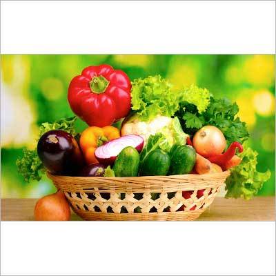 Fresh Organic Vegetables