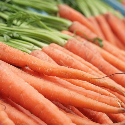 Indian Red Carrot