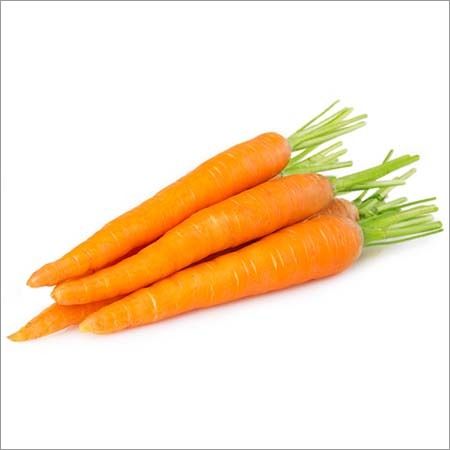 Organic Orange Carrot