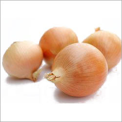 Yellow Onion