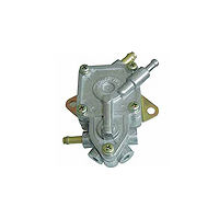 Automobile Oil Pumps