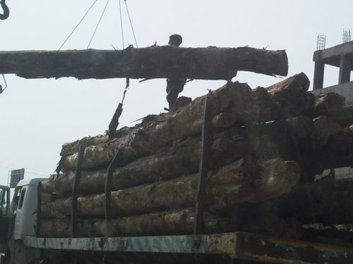 Ghana teak wood