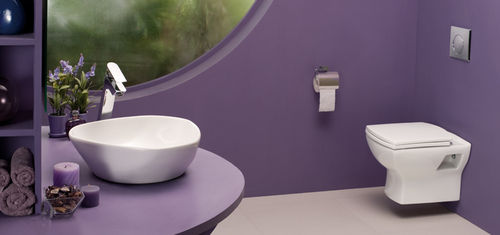 Wall Mount Flush Toilet