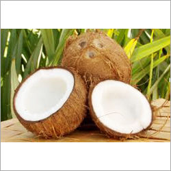 Coconut Milk