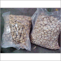 Fresh Button Mushroom - Organically Cultivated, Rich in Taste and Protein, Strong Aroma, Easily Digestible