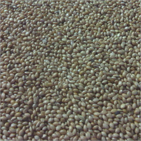 Yellow Millet