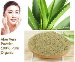 Aloe Vera Powder