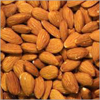 Fresh Almond Nut