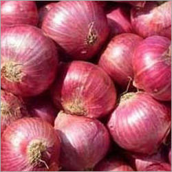 Fresh Red Onion