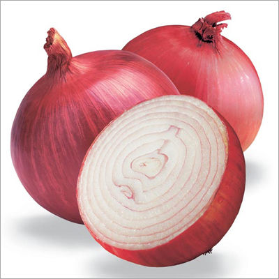 Onion Paste - Premium Quality Fresh Onion Blend | Rich Color, Pure Taste, Long Shelf Life