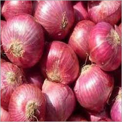 Red Onion