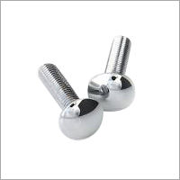 Stainless Steel Carriage Bolts